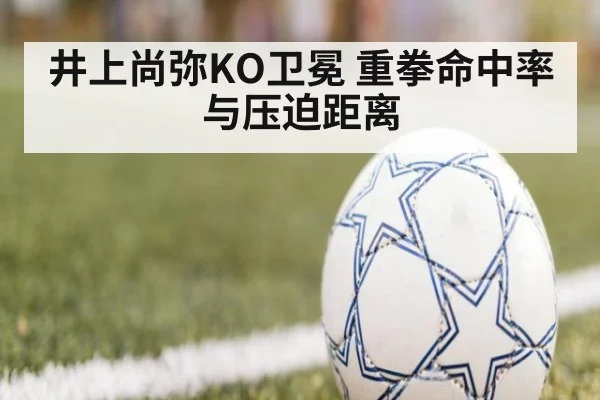 井上尚弥KO卫冕 重拳命中率与压迫距离